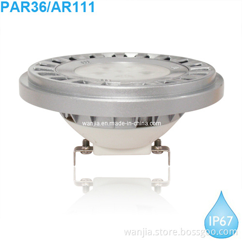 Outdoor PAR36/AR111 LED Light